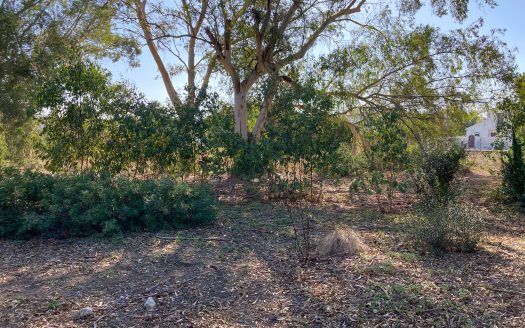 Building plot on golf course for sale in Chiclana ref. s1a9g