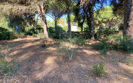 Building plot on golf course for sale in Chiclana ref. s1a9g