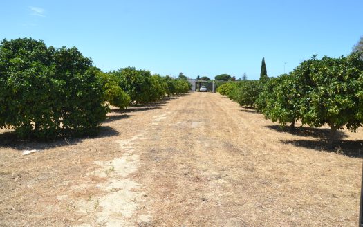 Large plot for sale with small apartment in Chiclana ID f0l5o