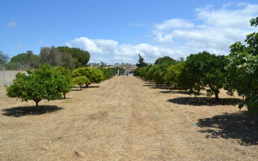 Large plot for sale with small apartment in Chiclana ID f0l5o