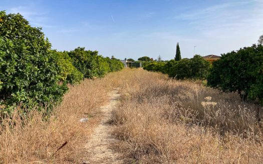 Großes Grundstück mit kleiner Wohnung in Chiclana zu verkaufen ID f0l5o