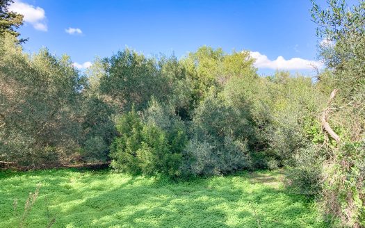 Building plot for sale on golf course in Chiclana, id s2a0g