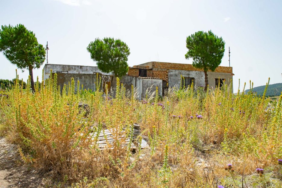 Finca to restore for sale in Medina Sidonia ID m0e7d