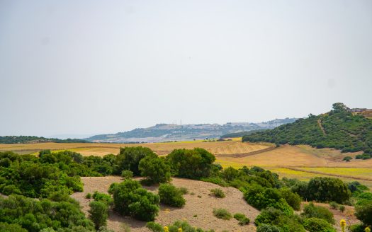 Finca to restore for sale in Medina Sidonia ID m0e8d