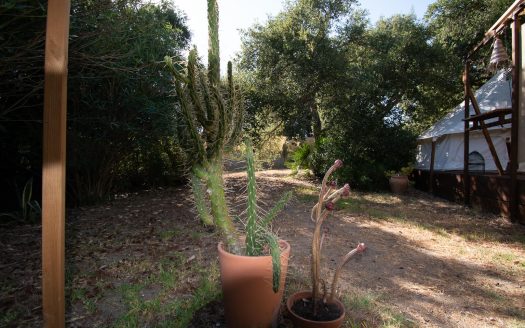 Maison de campagne avec activité de glamping à vendre à Chiclana ID p3h7u
