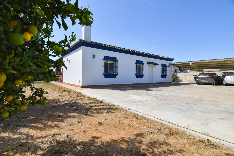 video image